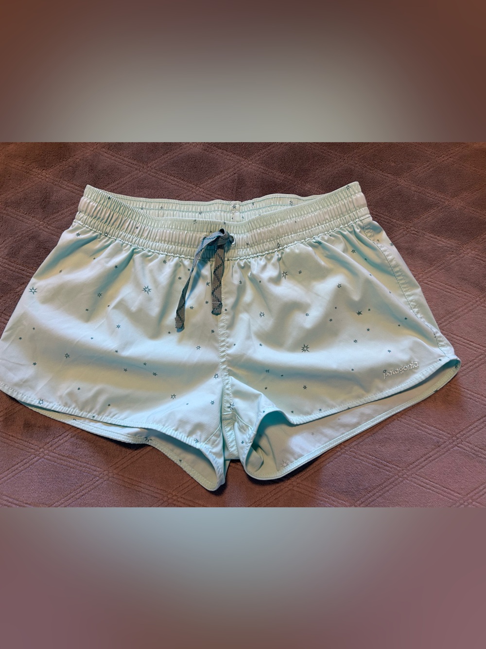 Patagonia Mini Board Shorts